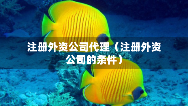 注冊(cè)外資公司代理（注冊(cè)外資公司的條件）