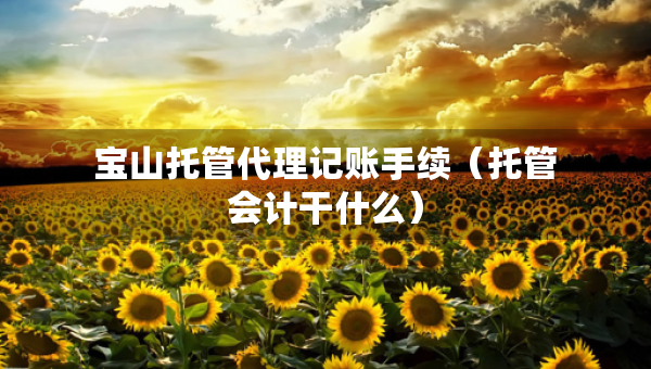 寶山托管代理記賬手續(xù)（托管會計干什么）