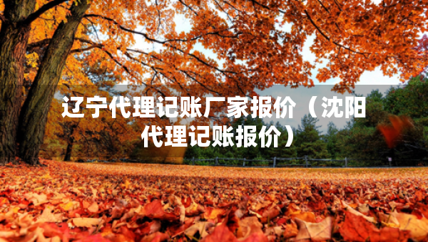 遼寧代理記賬廠家報價（沈陽 代理記賬報價）