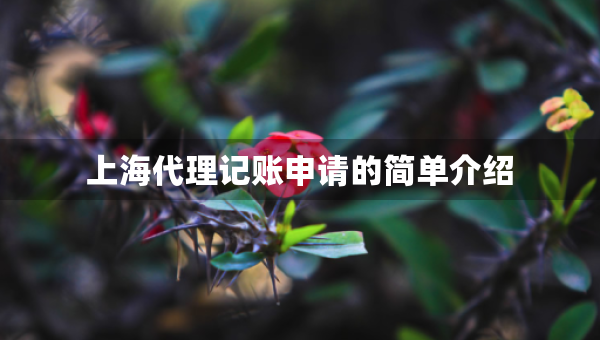 上海代理記賬申請(qǐng)的簡(jiǎn)單介紹