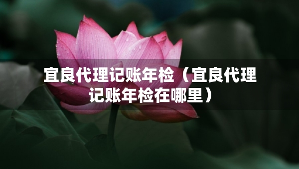 宜良代理記賬年檢（宜良代理記賬年檢在哪里）