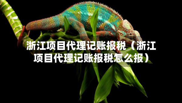 浙江項(xiàng)目代理記賬報(bào)稅（浙江項(xiàng)目代理記賬報(bào)稅怎么報(bào)）