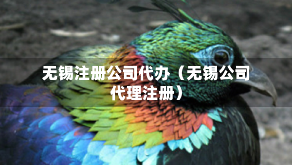無錫注冊公司代辦（無錫公司代理注冊）
