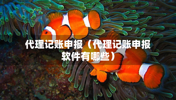 代理記賬申報(bào)（代理記賬申報(bào)軟件有哪些）