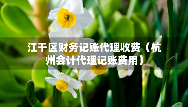 江干區(qū)財(cái)務(wù)記賬代理收費(fèi)（杭州會(huì)計(jì)代理記賬費(fèi)用）