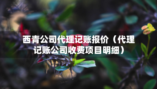 西青公司代理記賬報(bào)價(jià)（代理記賬公司收費(fèi)項(xiàng)目明細(xì)）