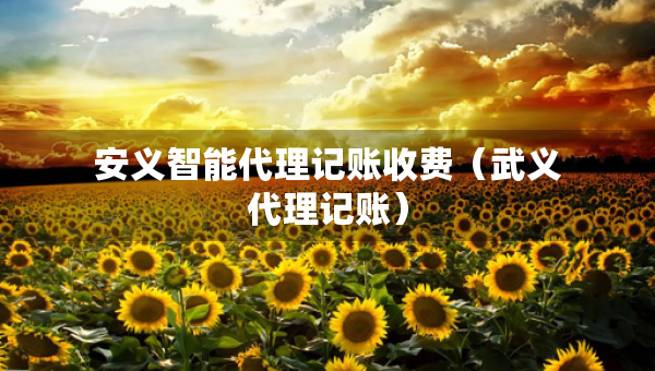 安義智能代理記賬收費(fèi)（武義代理記賬）