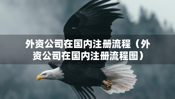 外資公司在國內注冊流程（外資公司在國內注冊流程圖）