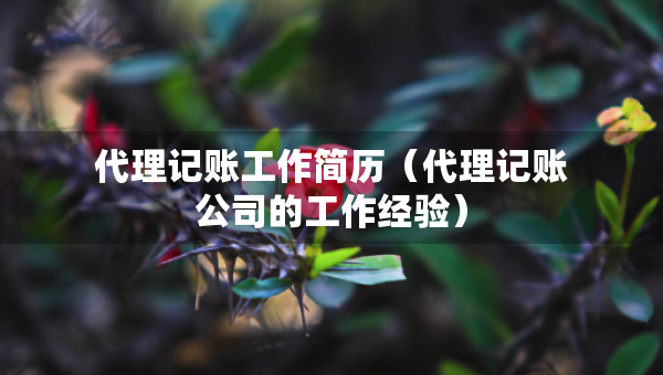 代理記賬工作簡(jiǎn)歷（代理記賬公司的工作經(jīng)驗(yàn)）
