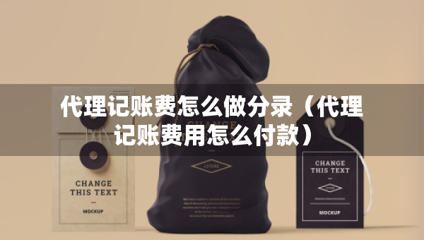 代理記賬費(fèi)怎么做分錄（代理記賬費(fèi)用怎么付款）
