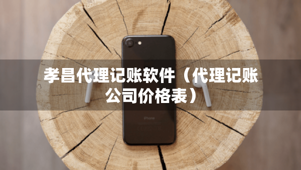 孝昌代理記賬軟件（代理記賬公司價格表）