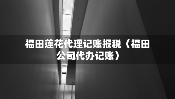 福田蓮花代理記賬報(bào)稅（福田公司代辦記賬）