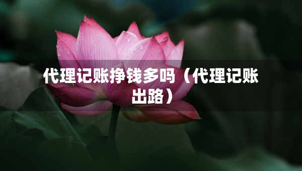 代理記賬掙錢多嗎（代理記賬出路）