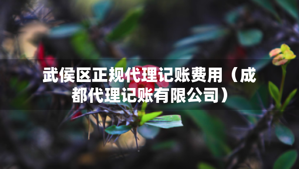 武侯區(qū)正規(guī)代理記賬費(fèi)用（成都代理記賬有限公司）