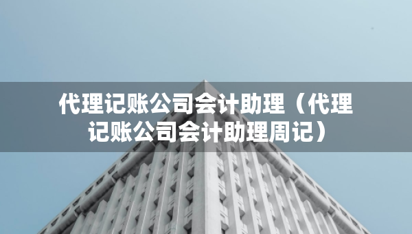 代理記賬公司會(huì)計(jì)助理（代理記賬公司會(huì)計(jì)助理周記）