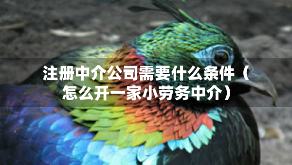注冊(cè)中介公司需要什么條件（怎么開一家小勞務(wù)中介）