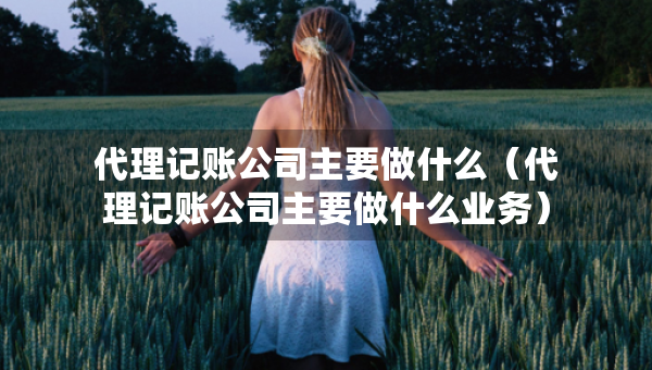 代理記賬公司主要做什么（代理記賬公司主要做什么業(yè)務）