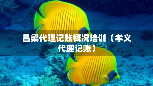 呂梁代理記賬概況培訓(xùn)（孝義代理記賬）