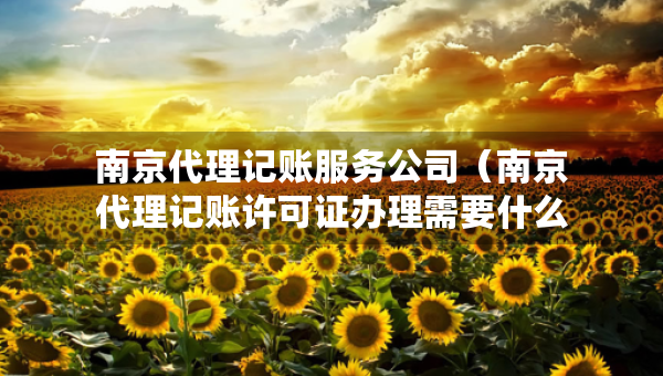 南京代理記賬服務(wù)公司（南京代理記賬許可證辦理需要什么條件）