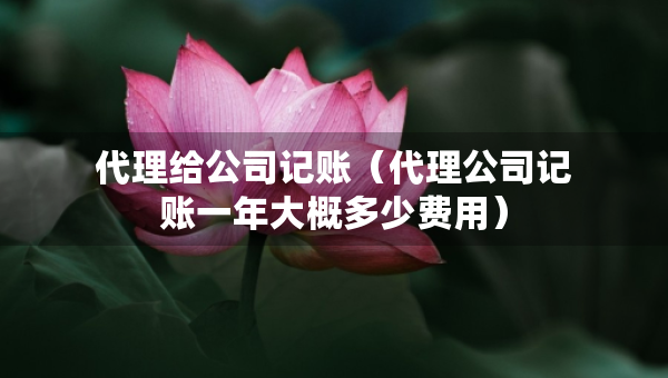 代理給公司記賬（代理公司記賬一年大概多少費用）
