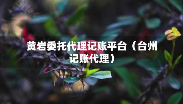 黃巖委托代理記賬平臺（臺州記賬代理）