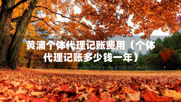 黃浦個(gè)體代理記賬費(fèi)用（個(gè)體代理記賬多少錢(qián)一年）
