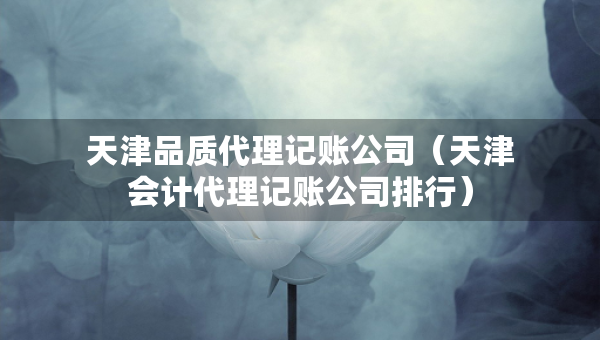 天津品質(zhì)代理記賬公司（天津會(huì)計(jì)代理記賬公司排行）