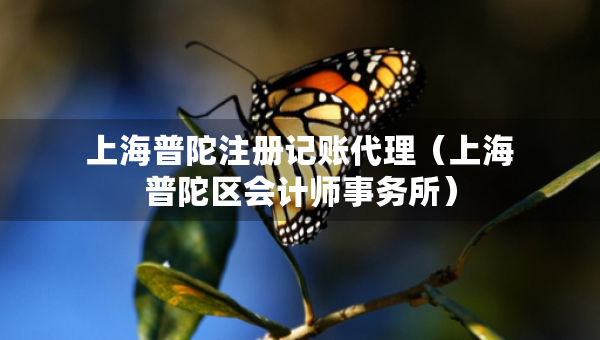 上海普陀注冊(cè)記賬代理（上海普陀區(qū)會(huì)計(jì)師事務(wù)所）