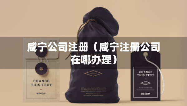 咸寧公司注冊（咸寧注冊公司在哪辦理）
