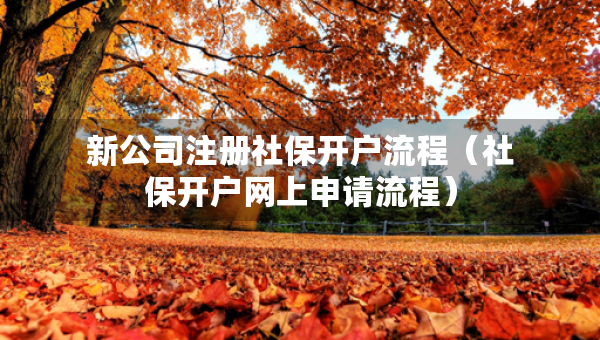 新公司注冊(cè)社保開(kāi)戶流程（社保開(kāi)戶網(wǎng)上申請(qǐng)流程）