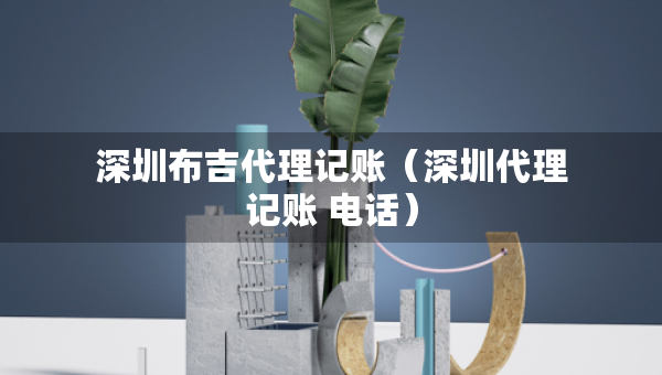 深圳布吉代理記賬（深圳代理記賬 電話）