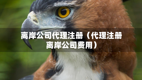 離岸公司代理注冊(cè)（代理注冊(cè)離岸公司費(fèi)用）