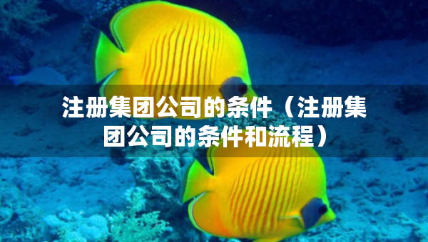 注冊集團公司的條件（注冊集團公司的條件和流程）