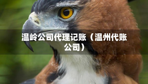溫嶺公司代理記賬（溫州代賬公司）