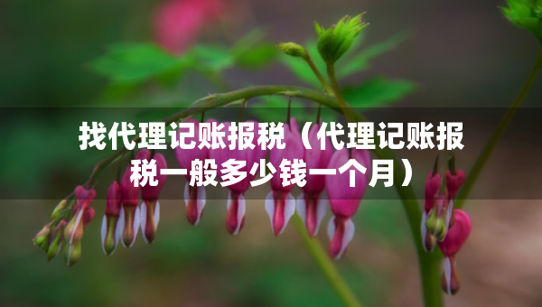 找代理記賬報稅（代理記賬報稅一般多少錢一個月）