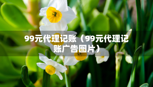 99元代理記賬（99元代理記賬廣告圖片）