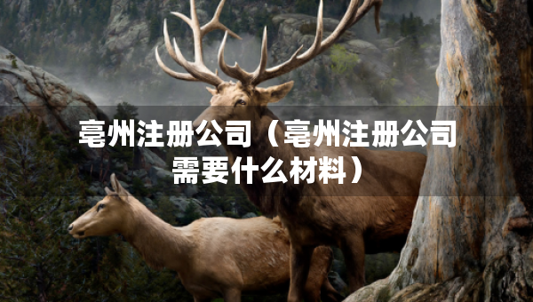 亳州注冊(cè)公司（亳州注冊(cè)公司需要什么材料）