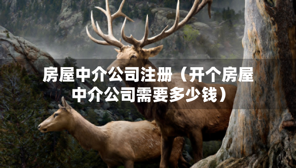 房屋中介公司注冊（開個房屋中介公司需要多少錢）