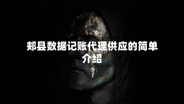 郟縣數(shù)據記賬代理供應的簡單介紹