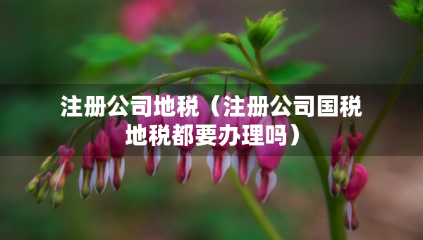 注冊(cè)公司地稅（注冊(cè)公司國稅地稅都要辦理嗎）