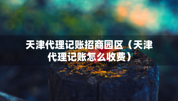 天津代理記賬招商園區(qū)（天津代理記賬怎么收費(fèi)）