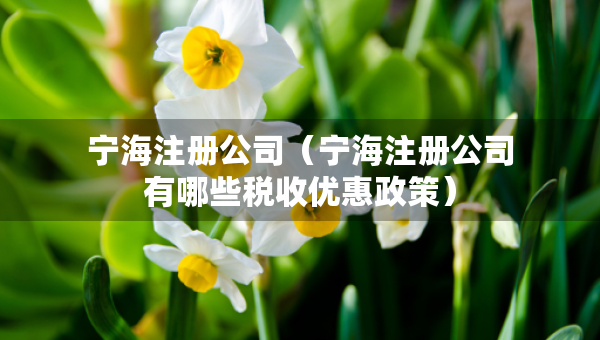 寧海注冊(cè)公司（寧海注冊(cè)公司有哪些稅收優(yōu)惠政策）