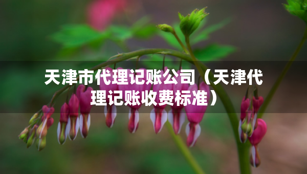 天津市代理記賬公司（天津代理記賬收費標準）