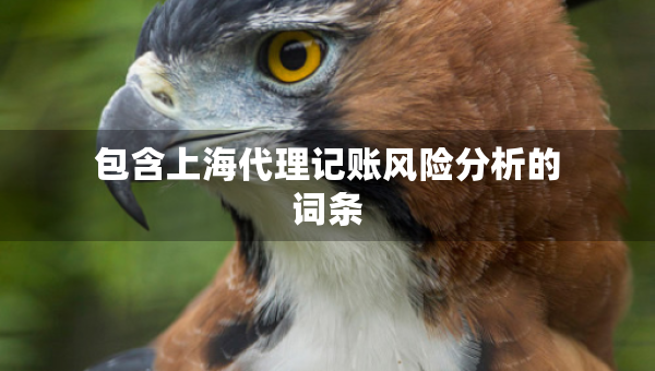 包含上海代理記賬風(fēng)險(xiǎn)分析的詞條