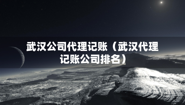 武漢公司代理記賬（武漢代理記賬公司排名）