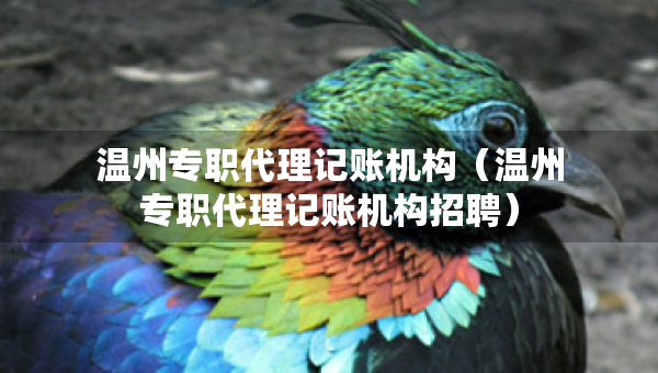 溫州專職代理記賬機構（溫州專職代理記賬機構招聘）