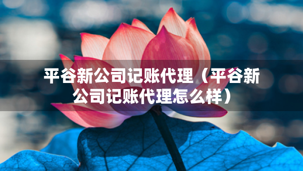 平谷新公司記賬代理（平谷新公司記賬代理怎么樣）
