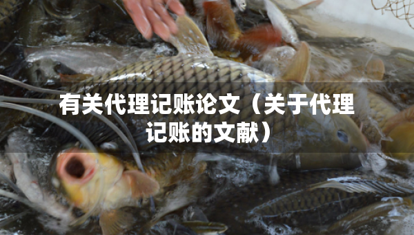 有關(guān)代理記賬論文（關(guān)于代理記賬的文獻(xiàn)）