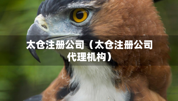太倉(cāng)注冊(cè)公司（太倉(cāng)注冊(cè)公司代理機(jī)構(gòu)）