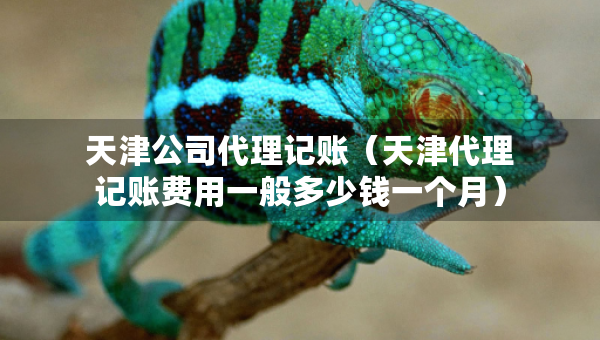 天津公司代理記賬（天津代理記賬費用一般多少錢一個月）